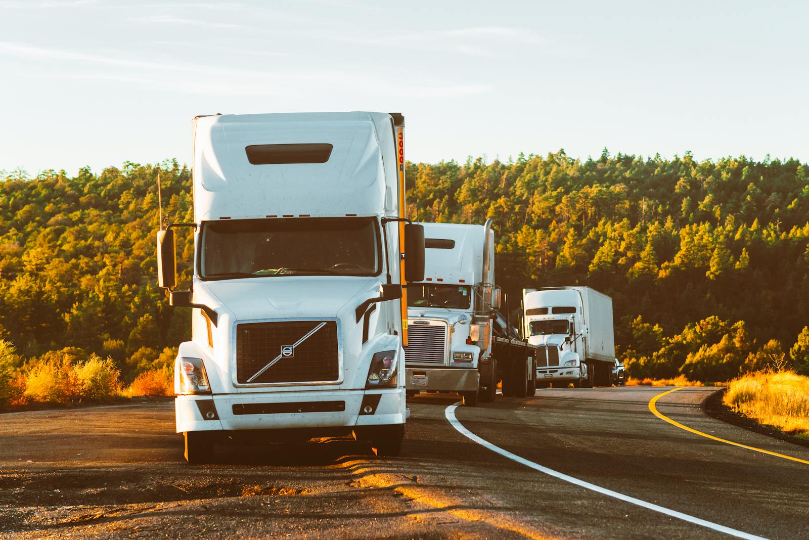 Rengo Logistics LLC